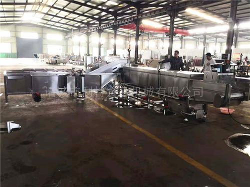 隧道蒸煮漂燙機廠家解析 天津與諸城利特機械公司的行業比較