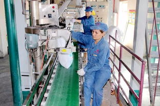 喜訊 精河鹽化公司榮獲國家高新技術(shù)企業(yè)稱號(hào)